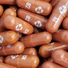 Indonesia meluluskan pill antiviral COVID-19 Merck & Co Inc untuk ’emergency use’