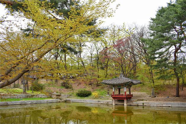 Changdeokgung Palace Gardens